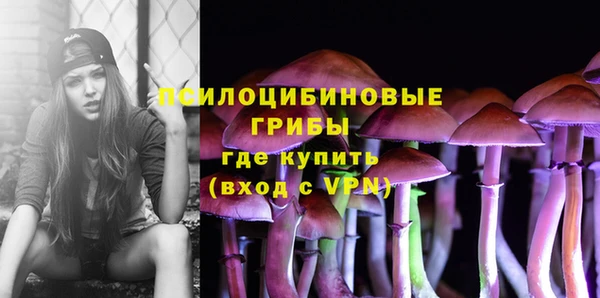 Альфа ПВП Дмитровск