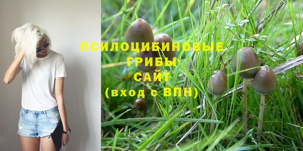 меф VHQ Дмитриев