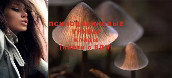 меф VHQ Дмитриев