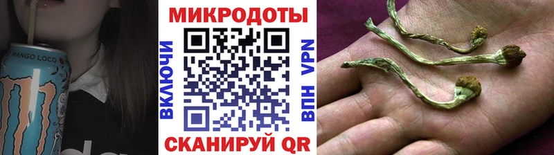Купить где  Надым  Псилоцибиновые грибы Psilocybine cubensis 