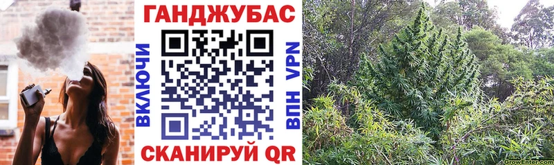 Купить  Надым  Канабис план 
